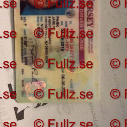 Driver's license Fullz for online verification